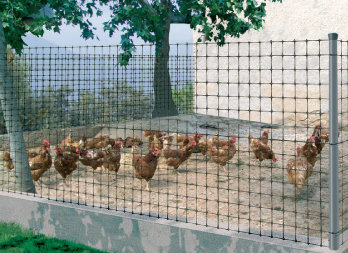 Lightweight poultry plastic mesh