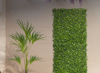 A decorative green wall with jasmine flowers