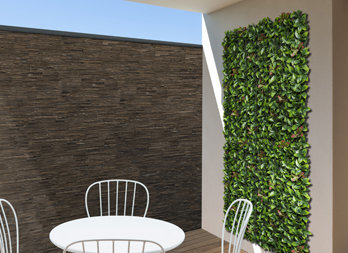 Green wall with red bay leaves