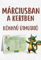 MÁRCIUSBAN A KERTBEN