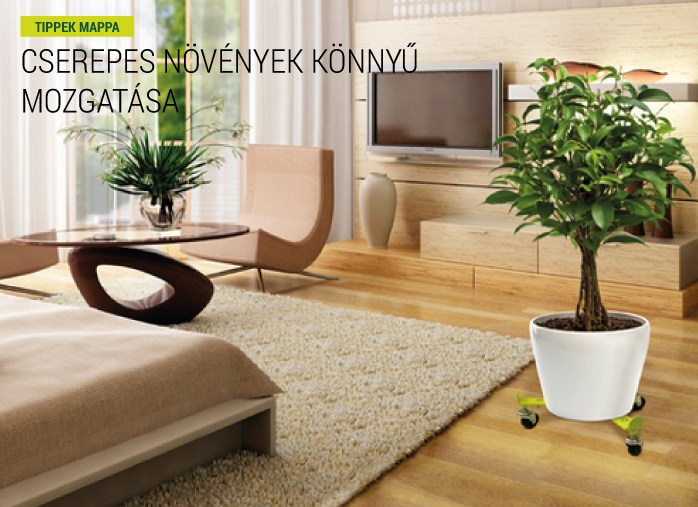 Cserepes növények könnyű mozgatása