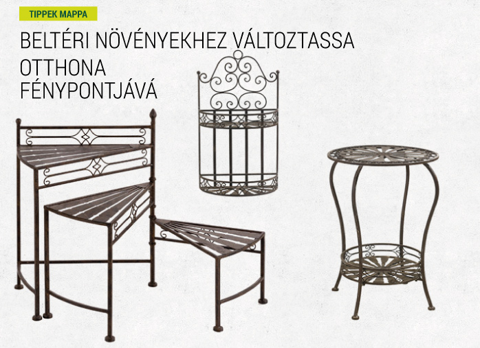 Beltéri növényekhez változtassa otthona fénypontjává