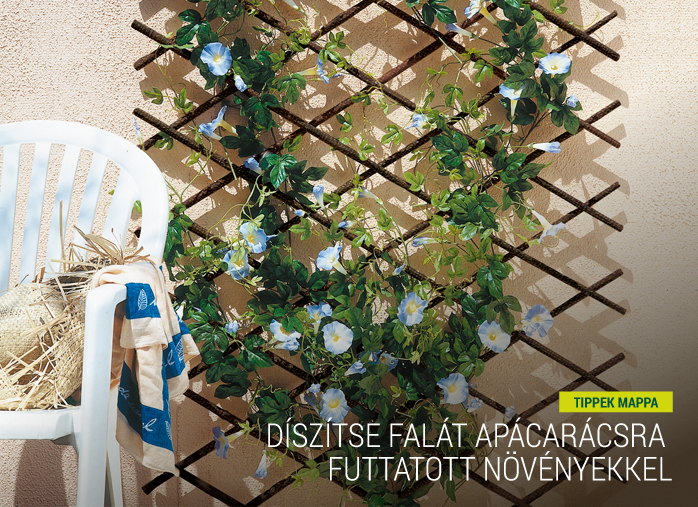 Díszítse falát apácarácsra futtatott növényekkel