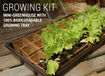  Mini-green house for seedlings