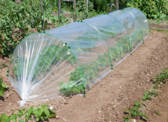 Tub din fibră de sticlă pentru minisere pentru protecţia plantelor