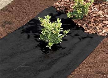 Mulching sheet