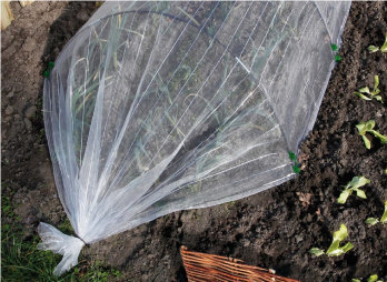 Set de plasă de siguranță țesută pentru a proteja plantele de insecte