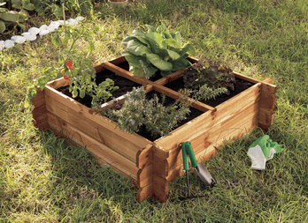 Seed planter