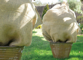 Winter protection cover for plants jute