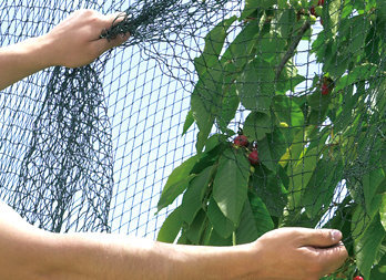 Reinforced protective netting