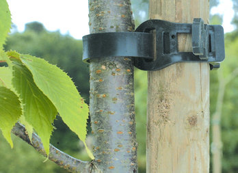 Legătură de plastic pentru arbori