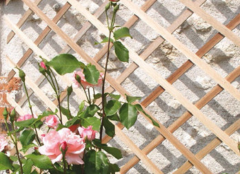 Suport extensibil din lemn folosit pentru decorarea unui perete sau susţinerea plantelor căţărătoare