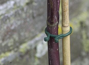 Assortment of plant support rings