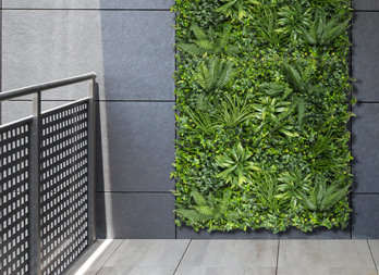 Green wall with tropical plants