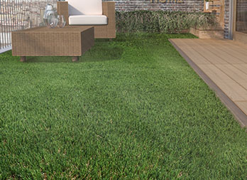 Evolution of our flagship product ZURICH, that continues to stand out for its incredible resemblance to natural grass thanks to the combination of green and brown tones with more intense colors